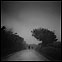 Bruine / Drizzle