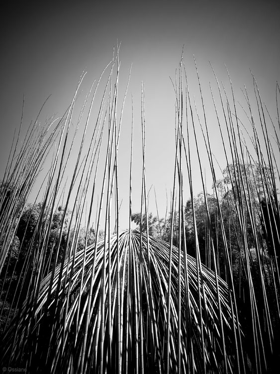 Filtre