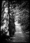Chemin
