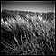 Expiration / Exhalation