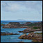 Ile flottante / Floating island