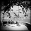 Indolence
