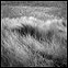 Ondulation / Undulation