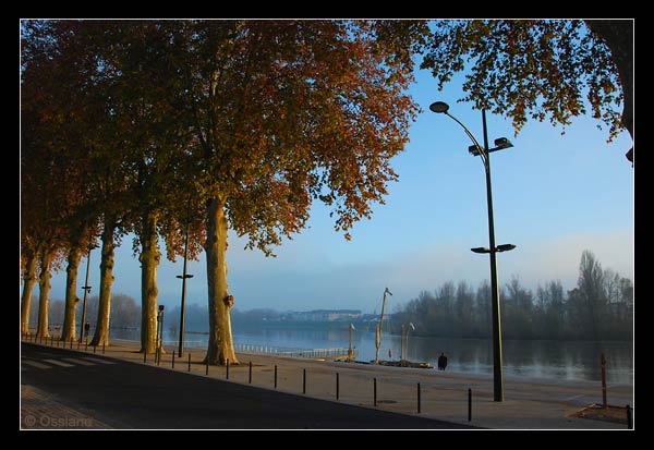 Les quais d'Orléans