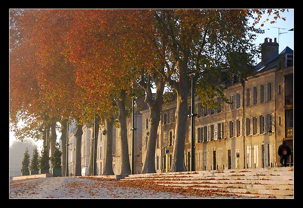 Les quais d'Orléans