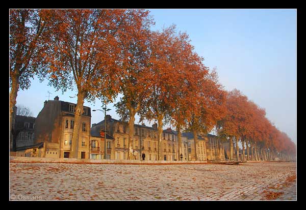 Les quais d'Orléans