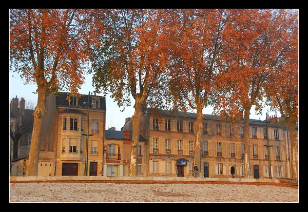 Les quais d'Orléans