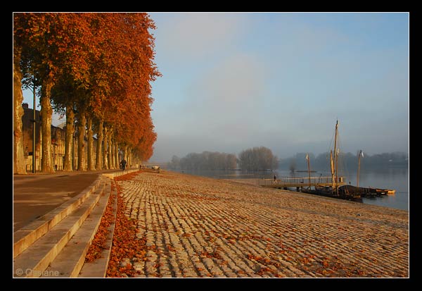 Les quais d'Orléans