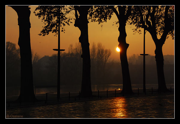 Les quais de la Loire à Orléans