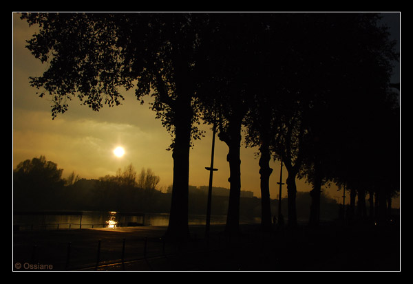 Les quais de la Loire à Orléans