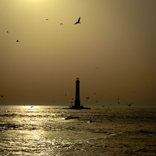 Appel de Phare / Flash of Light