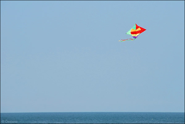 Cerf-volant