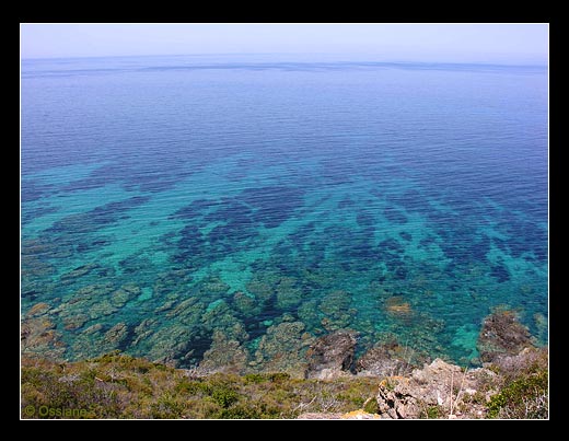 L'Ile Rousse