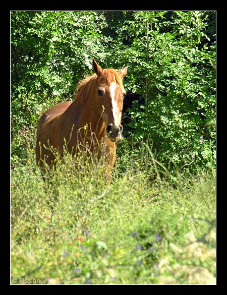 Complicite L Oeil Ouvert Photo Et Poesie