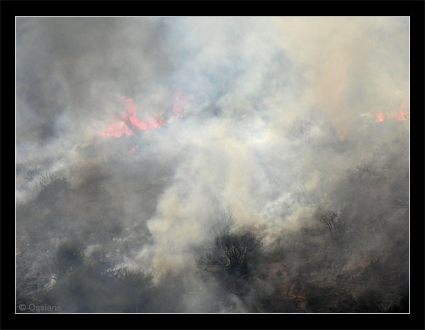 Incendie de maquis