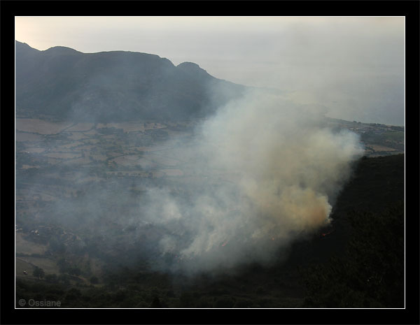 Incendie de maquis