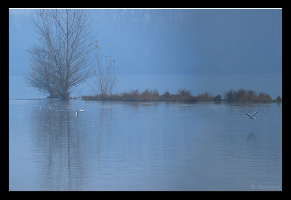 La Loire