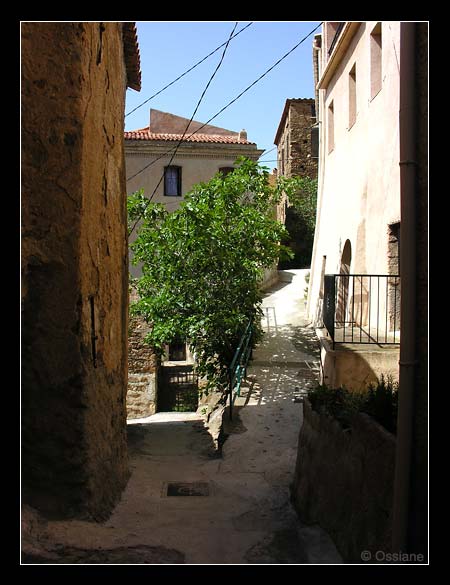 Belgodère en Balagne