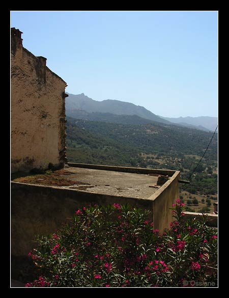 Belgodère en Balagne