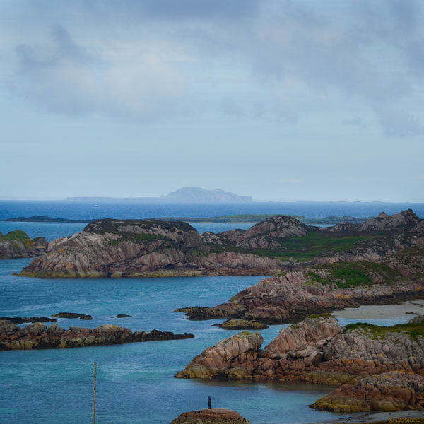 Île Flottante / Floating Island