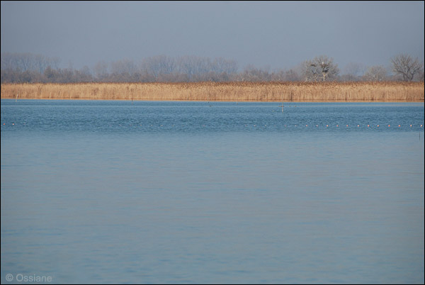 lac de Vaccarès