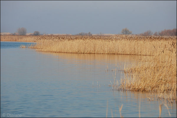 lac de Vaccarès