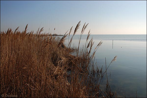 lac de Vaccarès