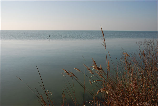 lac de Vaccarès