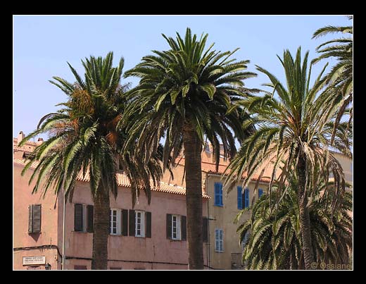 L'Ile Rousse