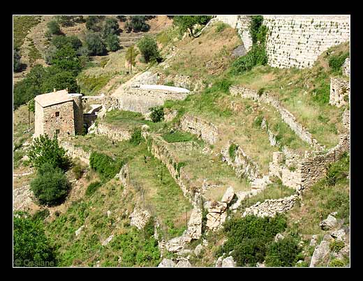 Terrassese