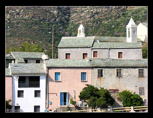 Le port de Centuri