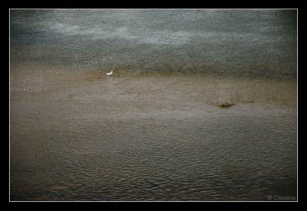 La Loire