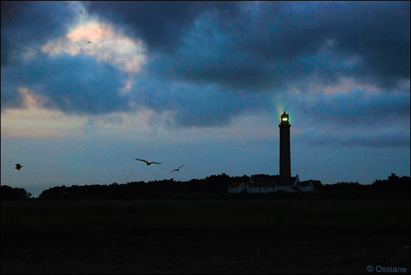 Phare