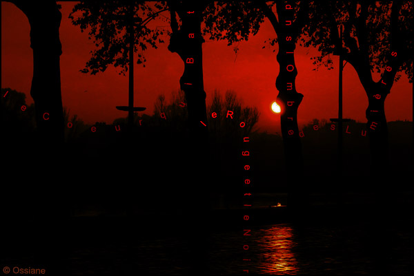 Le coeur qui bat dans l'ombre des lumières, le rouge et le noir