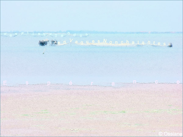 Des filets tendus en vagues nonchalantes, espérance