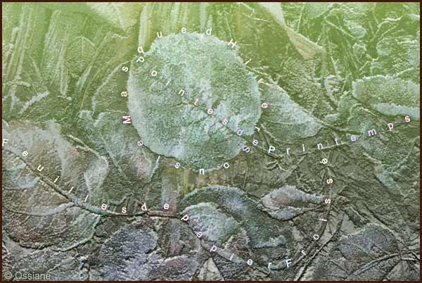 Feuilles de papier froissé, sous le masque d'hiver, pointes de printemps