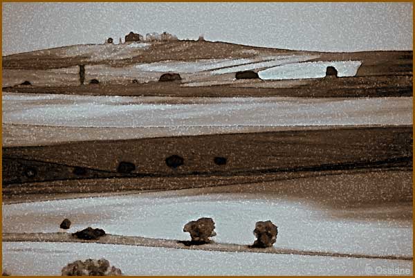 Ombres planantes sur rêve de Toscane en terre de Sienne