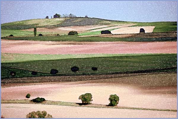 Ombres planantes sur rêve de Toscane en terre de Sienne