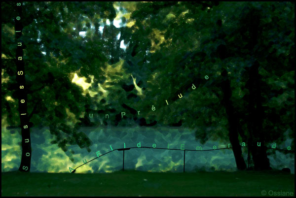 Sous les saules, au fil de l'émeraude, un prélude