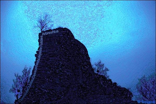 Chemin de l'oubli, au-dessus des nuages, le toit des arbres nus