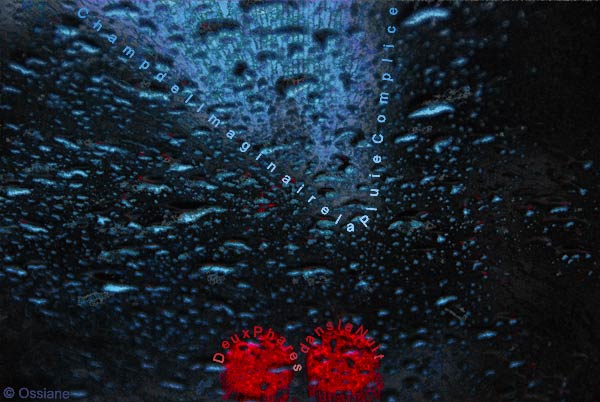 Deux phares dans la nuit, champ de l'imaginaire, la pluie complice