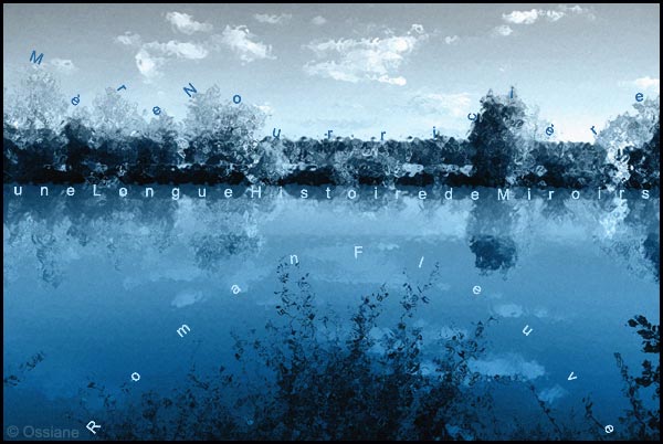 Mère nourricière, une longue histoire de miroirs, roman fleuve