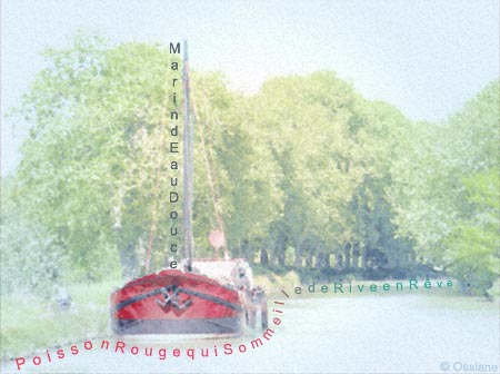 Marin d'eau douce, poisson rouge qui sommeille, de rive en rêve