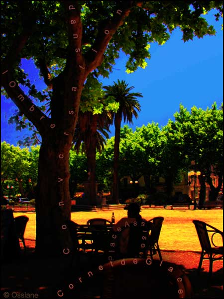 Place assise, conversation dans l'ombre, cornet de glace.