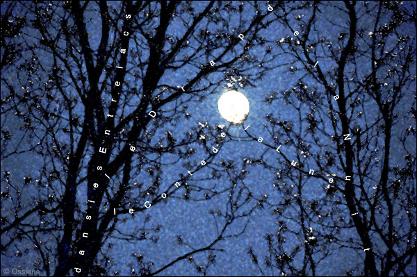 le drap de la nuit, le conte de la lune dans les entrelacs