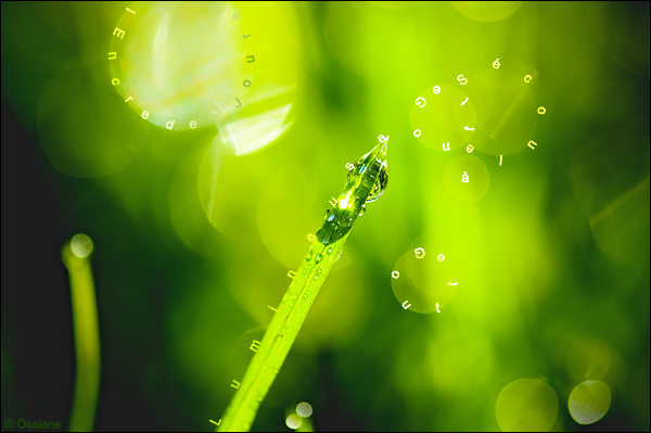 goutte à goutte, l'encre des jours s'écoule, lumineuse