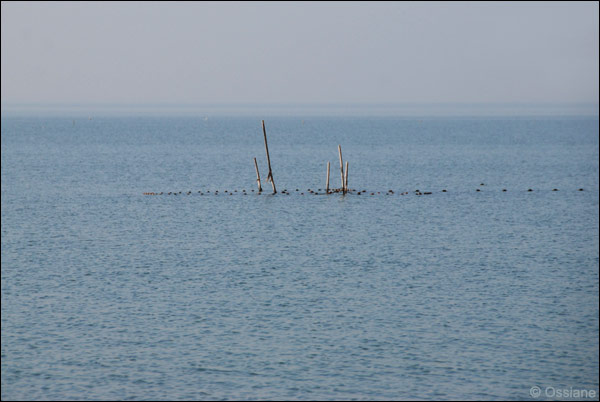 Lac de Vaccarès