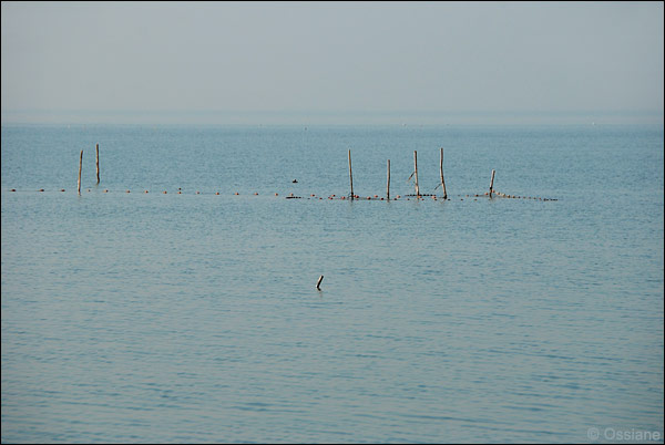 Lac de Vaccarès