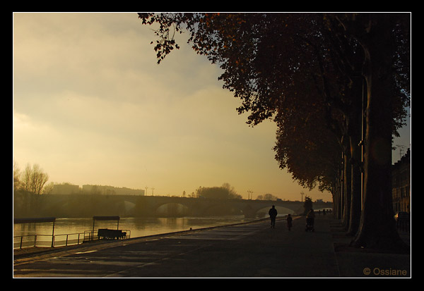 Les quais d'Orléans