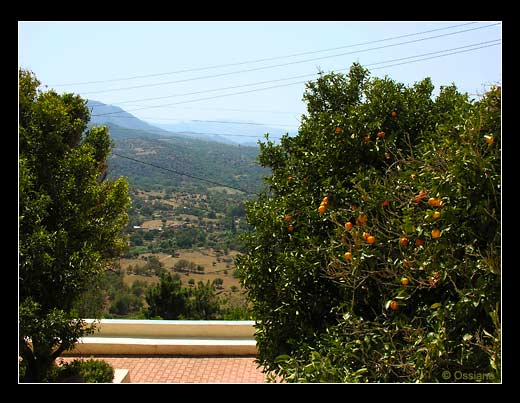 Belgodère en Balagne